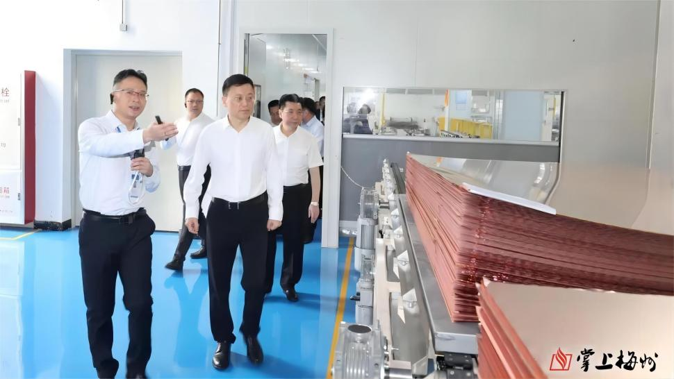 广东开云网,开云网(中国)
高端铜箔、高性能覆铜板新项目动态报道！（第22期）